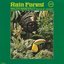 Rain Forest (Reissue)