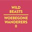 Woebegone Wanderers II