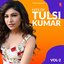 Hits of Tulsi Kumar, Vol. 2