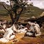 On The Way Of Hajj