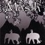Musth