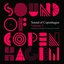 Sound Of Copenhagen Volume 4