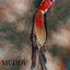 Muddy - Single