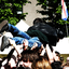 Avatar für Japie1988