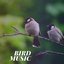 Bird Music