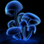 Avatar for Vladkata