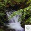 Whispering Brook