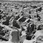 Babylon Is Fallen - Single