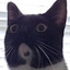 Avatar for UlvVingr