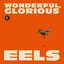 Wonderful, Glorious [Deluxe Edition] Disc 2