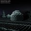 Nightscape: A Light and Sound Experience