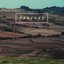 Pasture