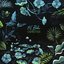 Cenotes (Deluxe Edition) (Deluxe Edition)