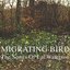 Migrating Bird: The Songs of Lal Waterson