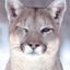 Avatar de PumaX1604