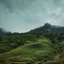 Nuwara Eliya