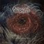 Landsickness - Single