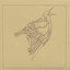Quixotic/Taxidermy