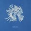 Comma Sutra - EP