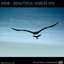 BEAUTIFUL VOICES 019 (VOCAL TRANCE CHILLED-BEAT)