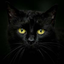 Avatar for dd080693