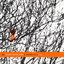 The Death Cab for Cutie Forbidden Love EP