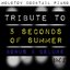 Tribute to 5 Seconds of Summer: Bonus & Deluxe, Vol. 1