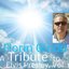A Tribute to Elvis Presley, Vol. 1