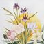 Bouquet (Remastered)