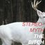 The Bitch