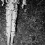 war - Single