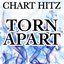 Torn Apart - Tribute to Bastille and Grades