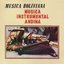 Música Instrumental Andina