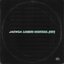 Losing Control (VIP)