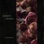 Lover's-Darkside-