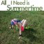 All I Need is Summertime