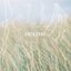 Siren Song - Single
