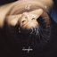 Braveface - Single