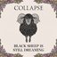 BLACK SHEEP IS STILL DREAMING