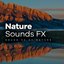 Sound FX of Nature