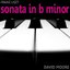 Lizst: Sonata in B-Flat Major