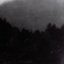 Vorkuta / Woods of Desolation
