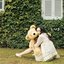 hug
