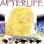 AFTERLIFE