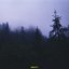 Identity - Single