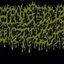 Biological Monstrosity
