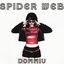 SPIDER WEB
