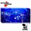 Muchmusic Presents: k-os (Live)