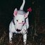 bEat uP dAt bOy - Single