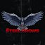 The Steel Crows [Explicit]